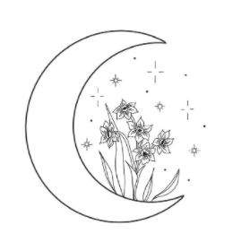 moonlight to grow plants