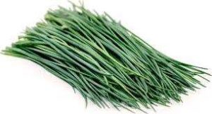 the herb chives for cooking